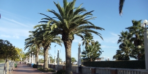Abruzzen
